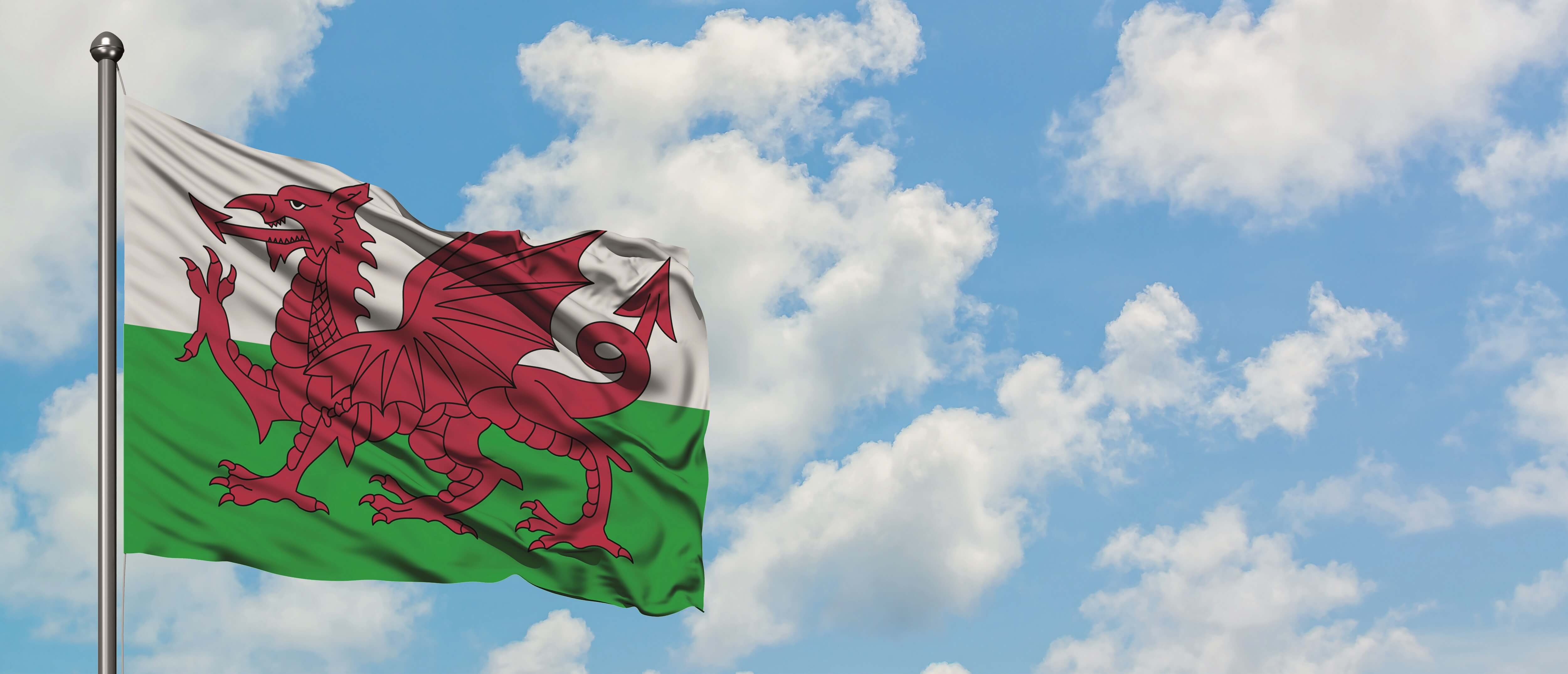 Welsh flag small.jpg