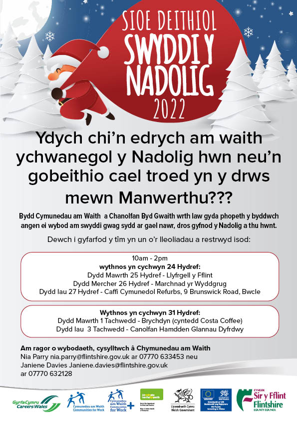 Festive Jobs Roadshow- Cymraeg.jpg