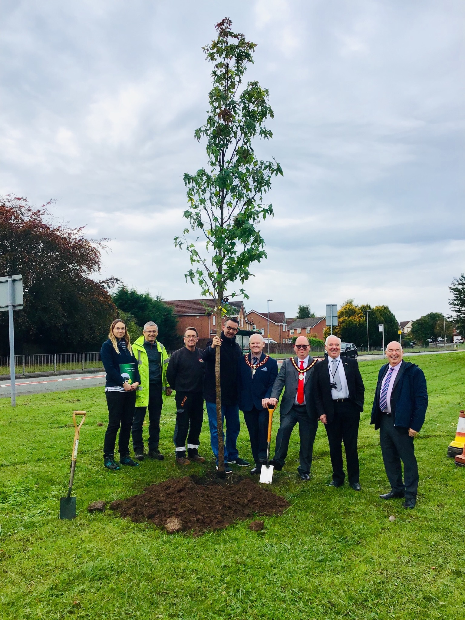 tree planting CQ.jpg