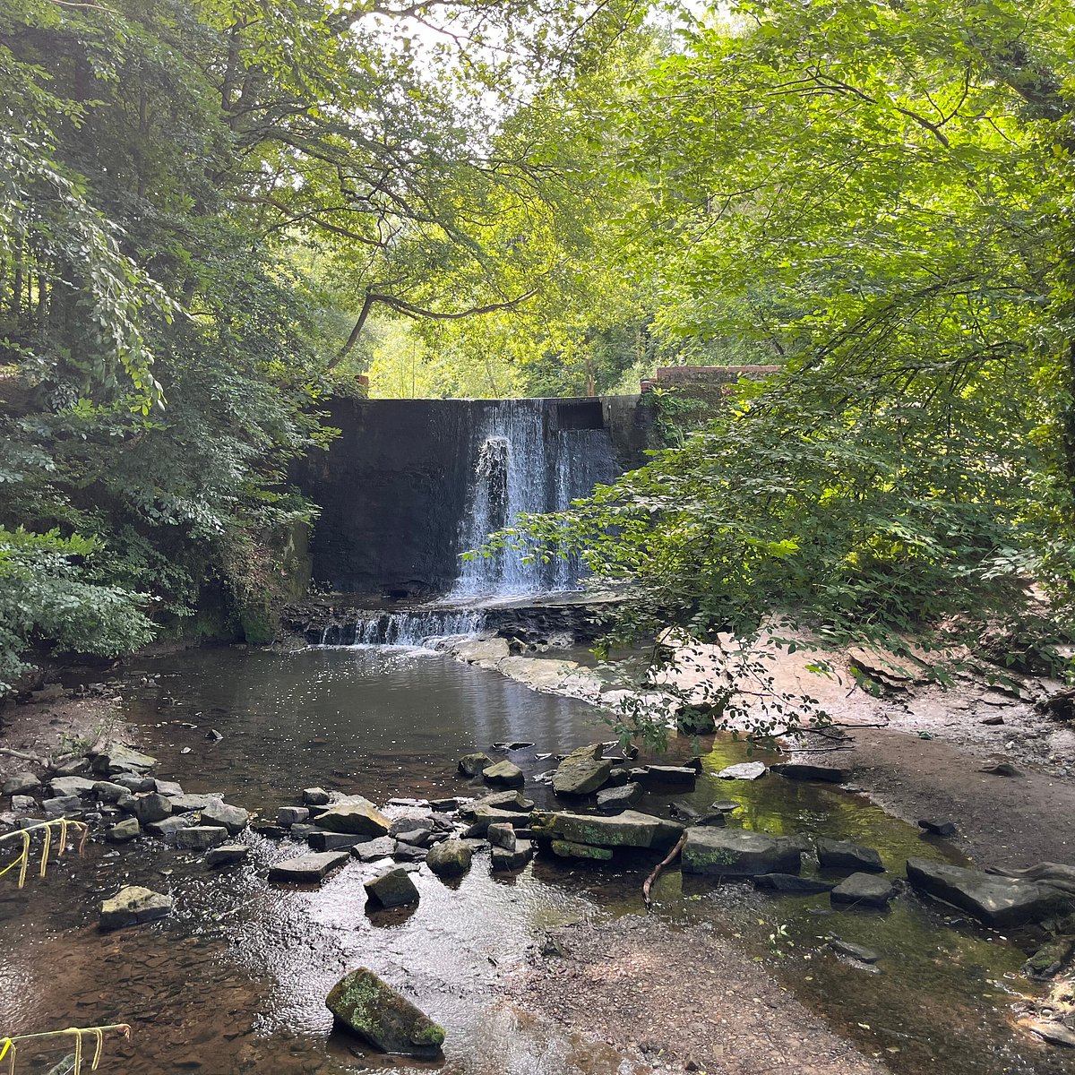 Wepre Park.jpg