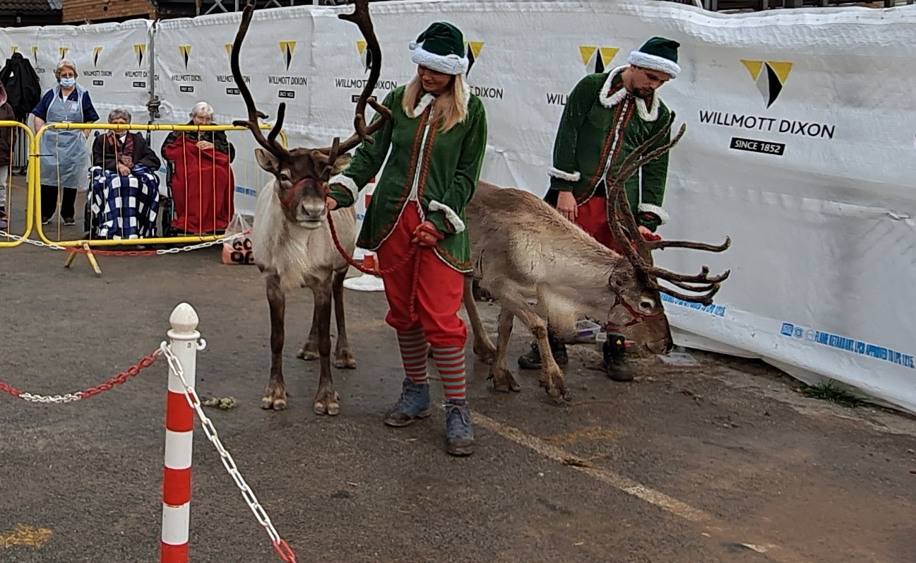 reindeer1.jpg