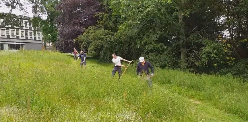 Scything County Hall July 2019.jpg