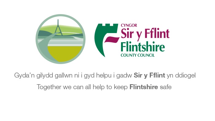 Keeping Flintshire safe.jpg