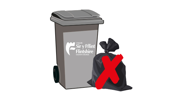 Black bin and side waste.jpg